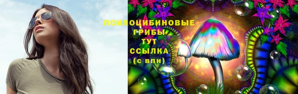 гашиш Белокуриха