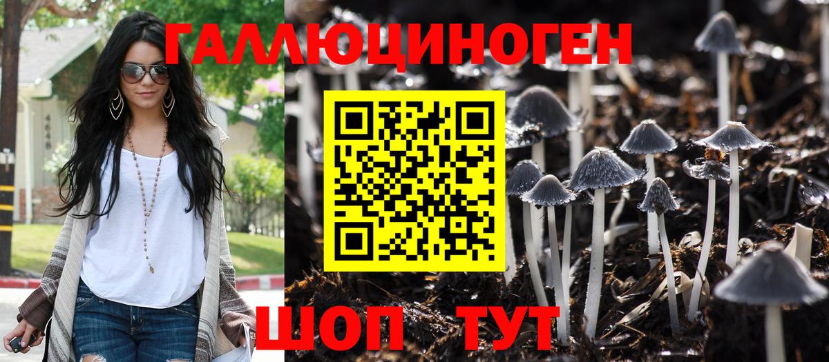 МДМА Гудермес
