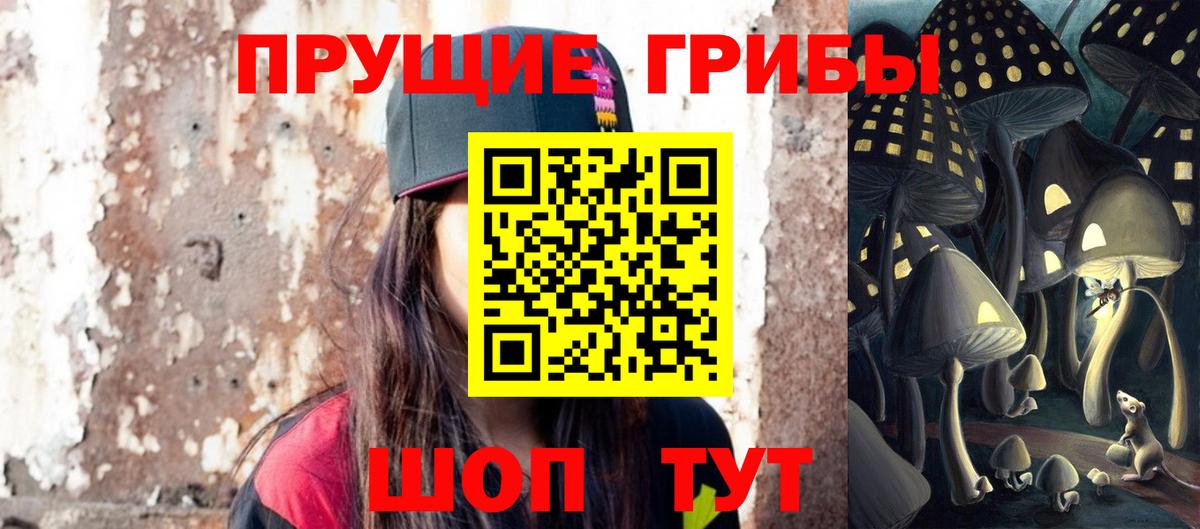 наркошоп  Гудермес  Галлюциногенные грибы мицелий  Псилоцибиновые грибы Cubensis 